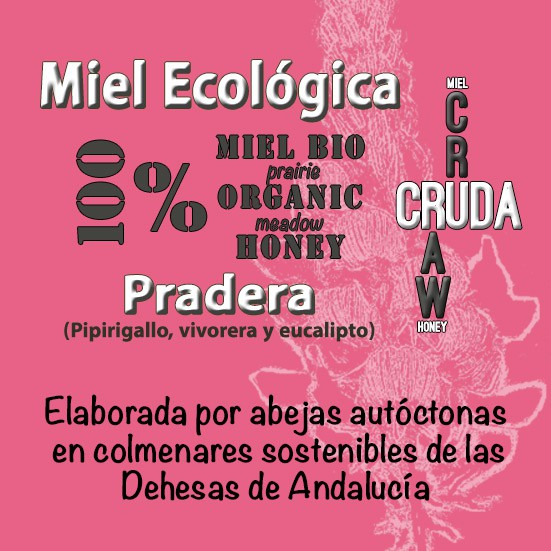 6 Kg Miel Ecológica Pradera