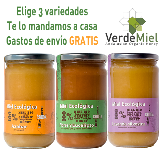 Miel brut biologique pack cadeaux VerdeMiel