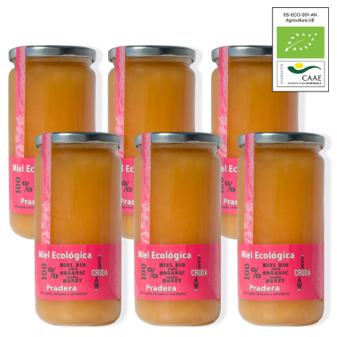 6 Kg of Organic Raw Meadow Honey VerdeMiel