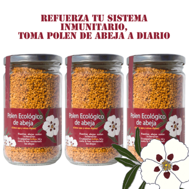 Organic Bee Pollen 360gx3