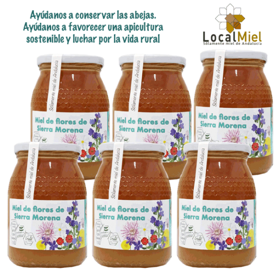 6 Kg of Raw Honey of Flowers of Sierra Morena LocalMiel