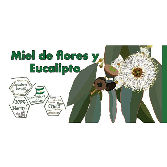 4 Tarros de 1Kg de LocalMiel Flores y Eucalipto