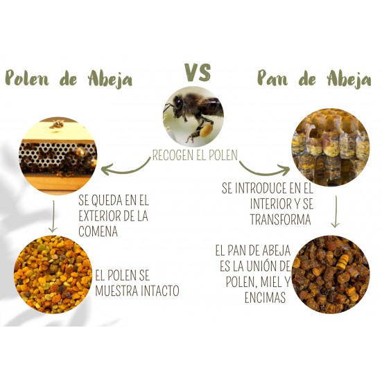 Ecological Bee Bread VerdeMiel