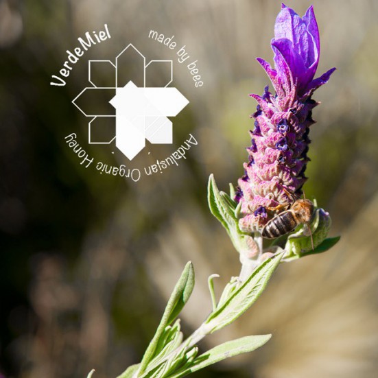 VerdeMiel 100% Miel Cruda Ecológica Lavanda silvestre de Andalucía