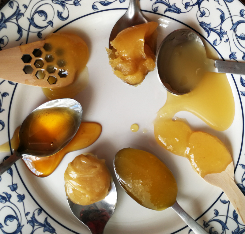 Mieles cristalizadas mostrando diferentes etapas de cristalización. Proceso natural de la miel.