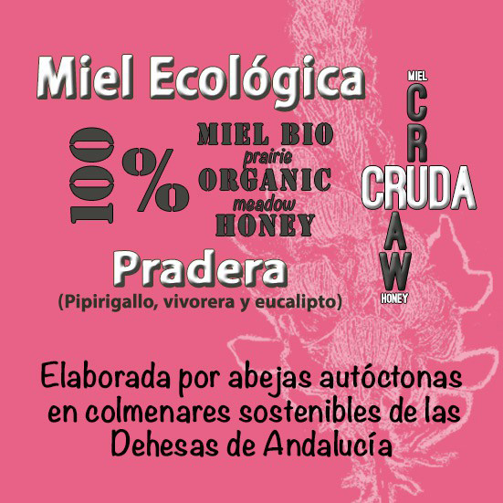 Miel ecológica cruda de Pradera