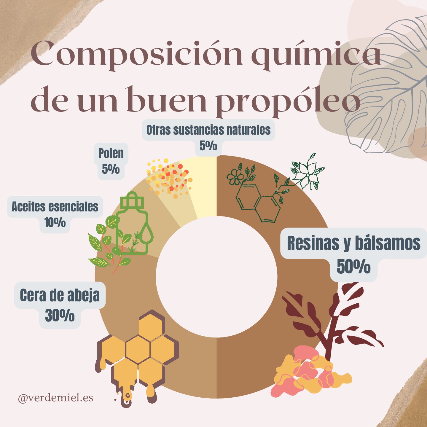 Gráfico circular de la Composición química del propóleo