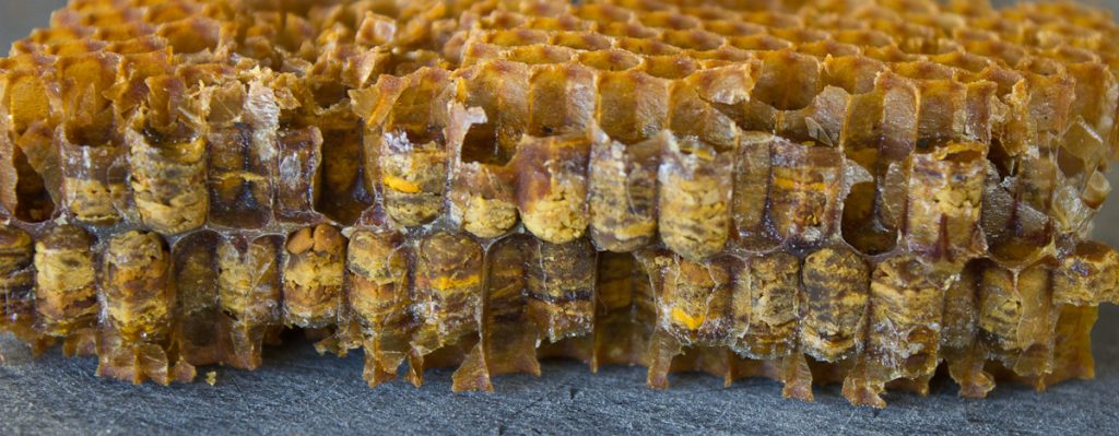 Pan de Abeja. ¿Qué es y en qué se diferencia del Polen?