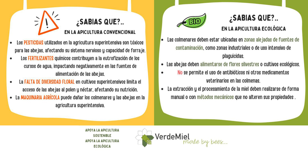 Diferencia-apicultura-convencional-y-ecologica-VerdeMiel
