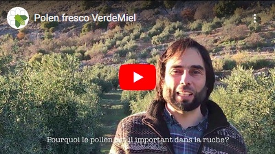 Youtube VerdeMiel